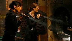 Intern in the Incinerator