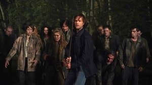 Back and to the Future