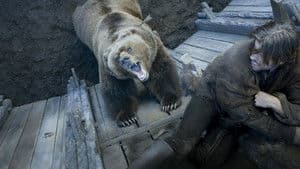 The Bear and the Maiden Fair